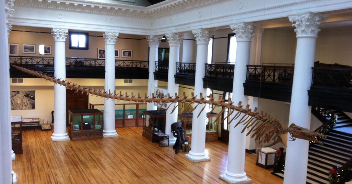 Alabama Fossil Fest returns to Tuscaloosa Sept. 20 | News